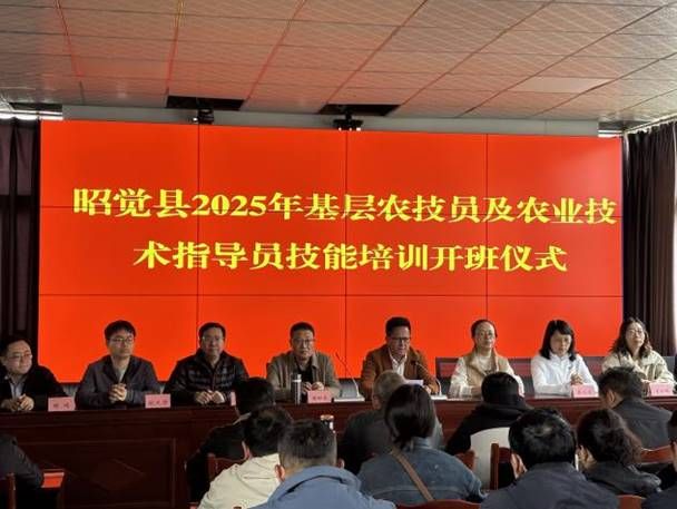 微信图片_20250415164841